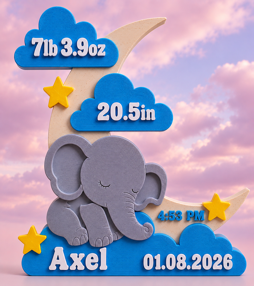 Personalized 3D Printed Baby Birth Stats Plaque