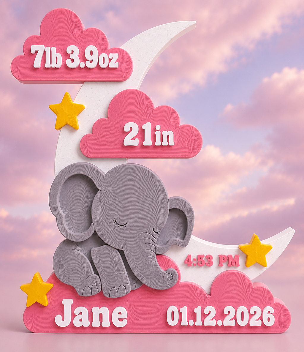 Personalized 3D Printed Baby Birth Stats Plaque